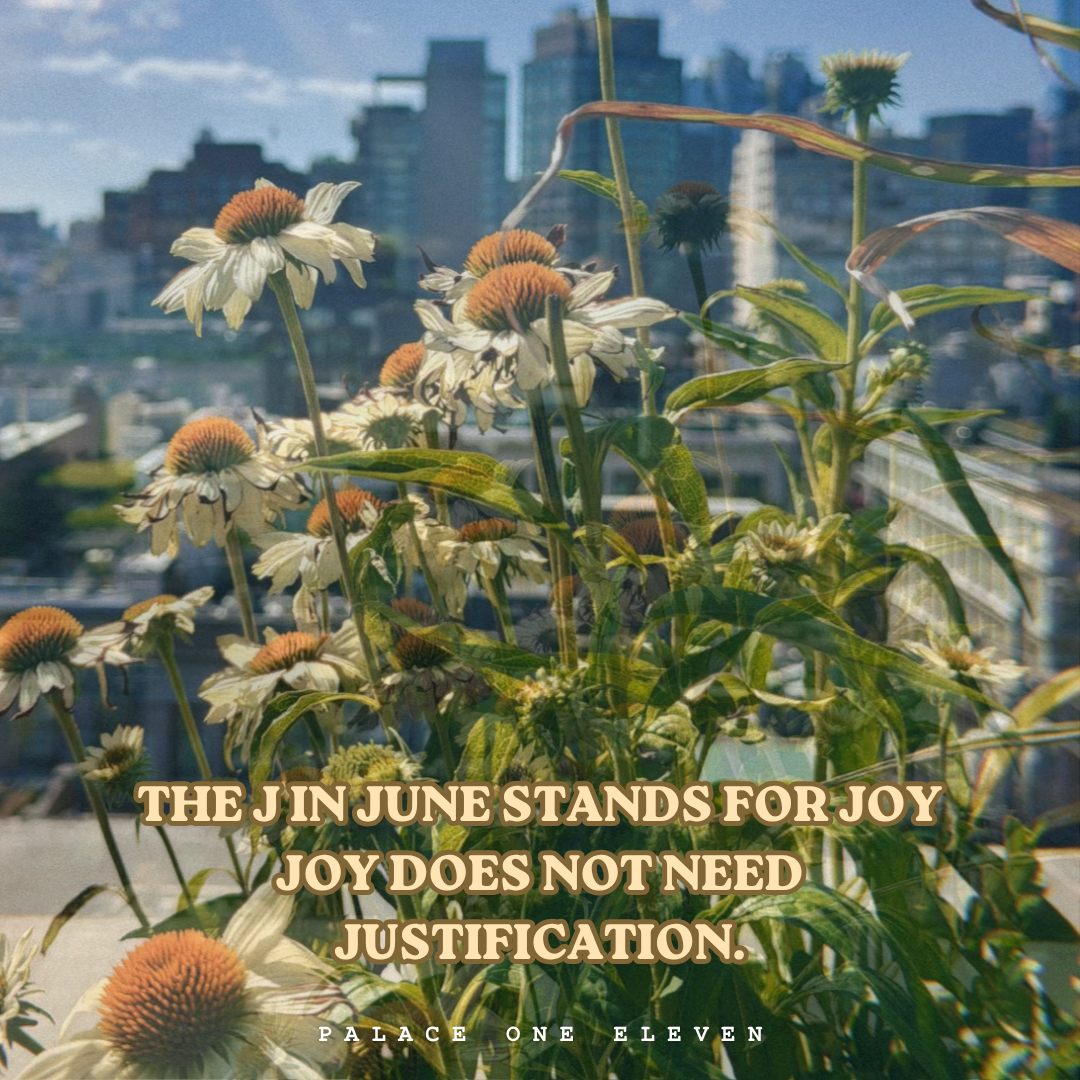 The J Stands for Joy:     A Love Letter to June.