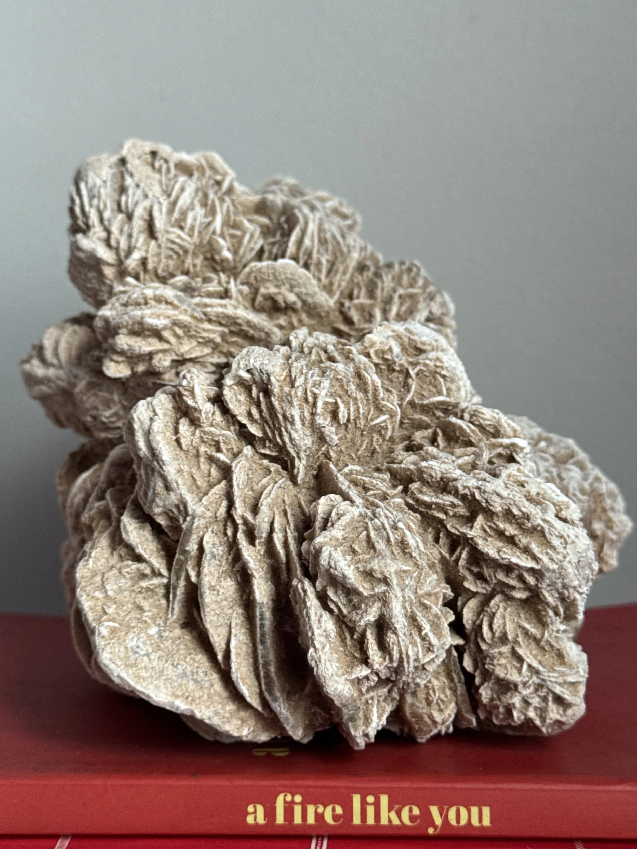 Desert Rose Freeform 1 (NEW)