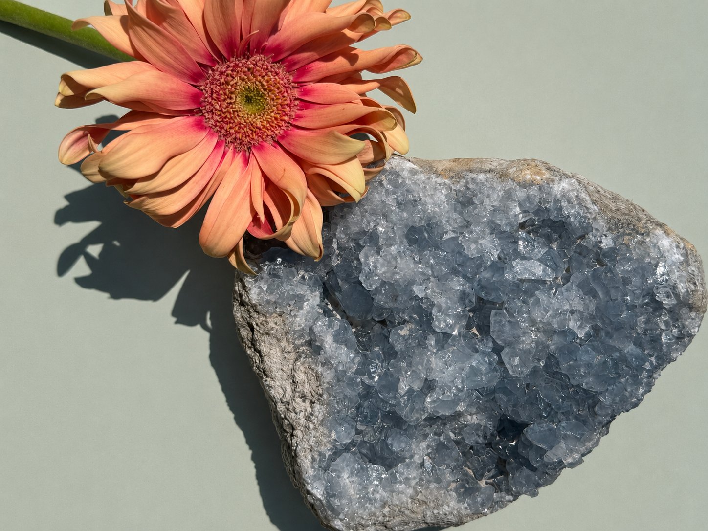 Large Celestite Freeform (NEW)