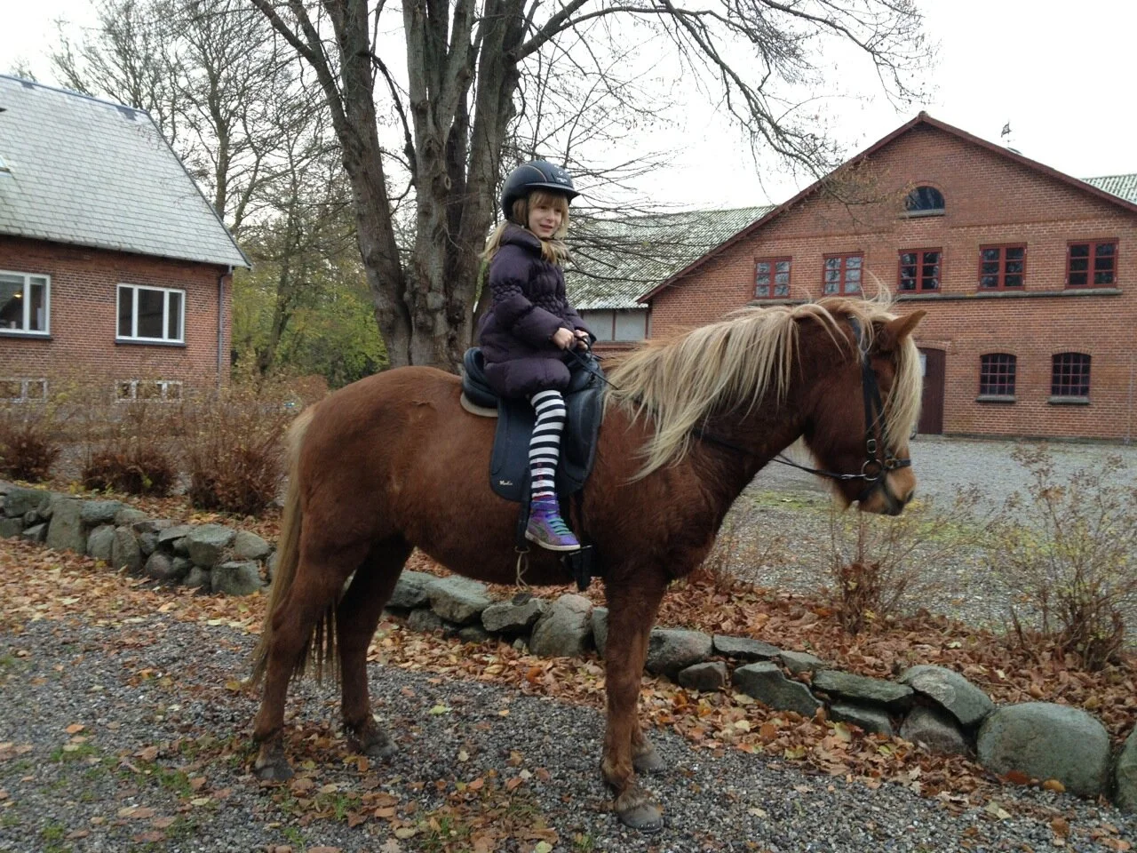 Solvejg tog en tur på Sóley