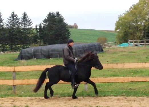 Unghopperne startet op