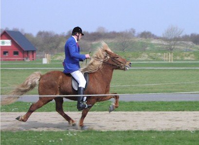 Ny 1. kl avlshoppe på gården