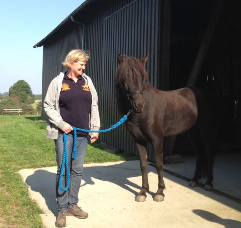 Hávella solgt til Pernille