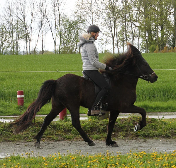 Sida hjem fra gangsætning