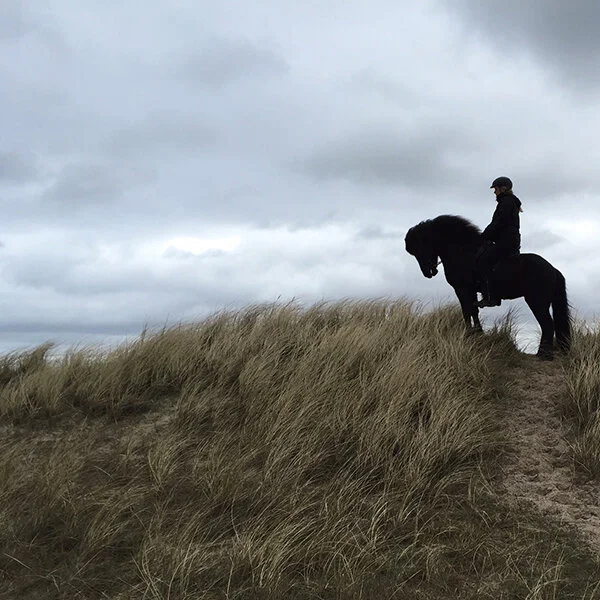 Forårstur ved Slettestrand