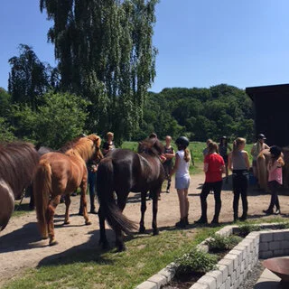 Selma og Sida på ridelejr