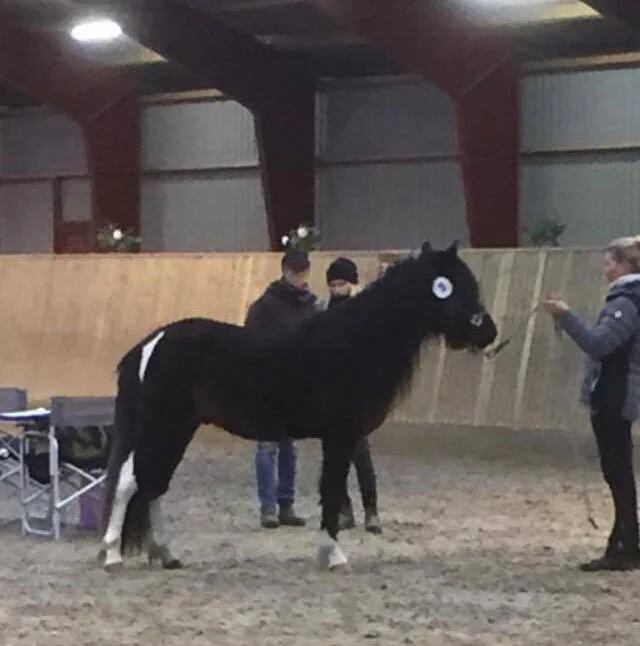Også en flot placering til Hákon fra Haarbygaard