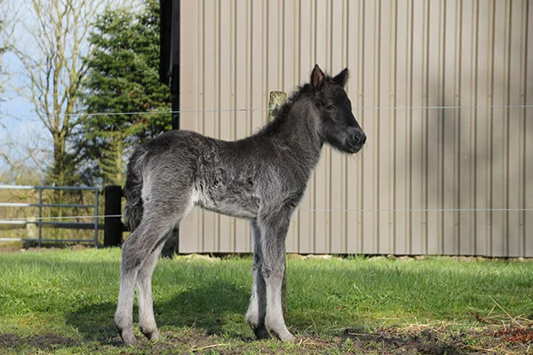 Gode og triste nyheder