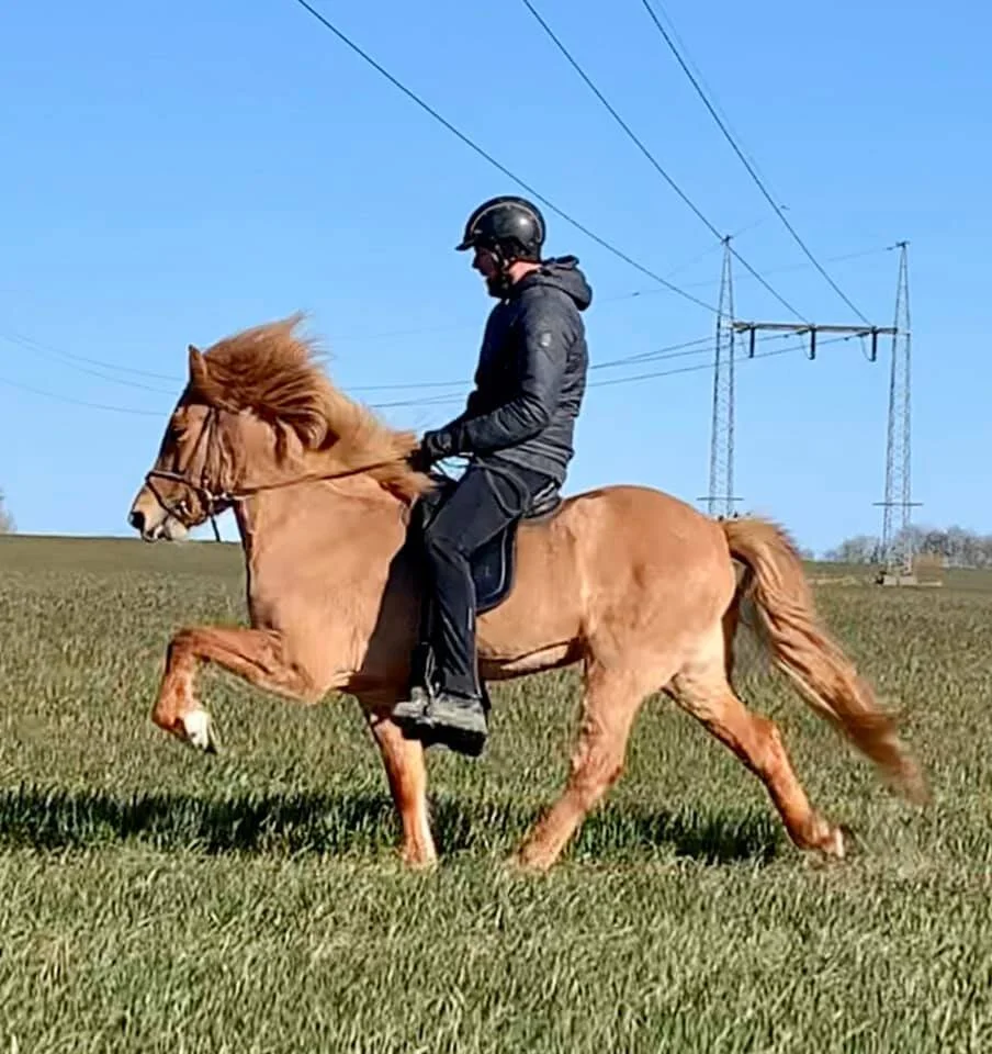 Unge hopper