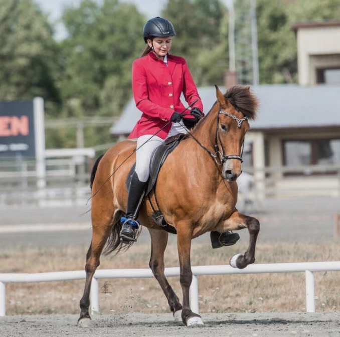 Stor, flot og erfaren 9-års hoppe til salg