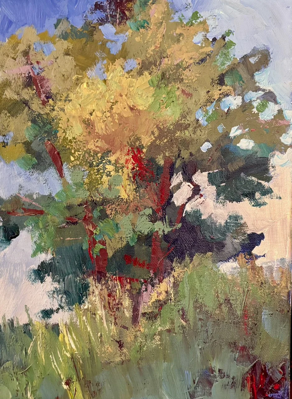 26. SunDappledCottonwood.jpeg