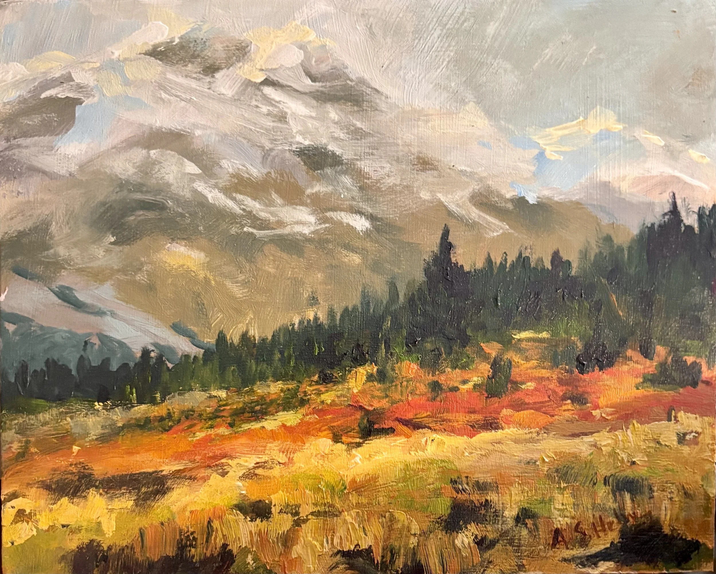 8. Between BanffandJasper.jpeg