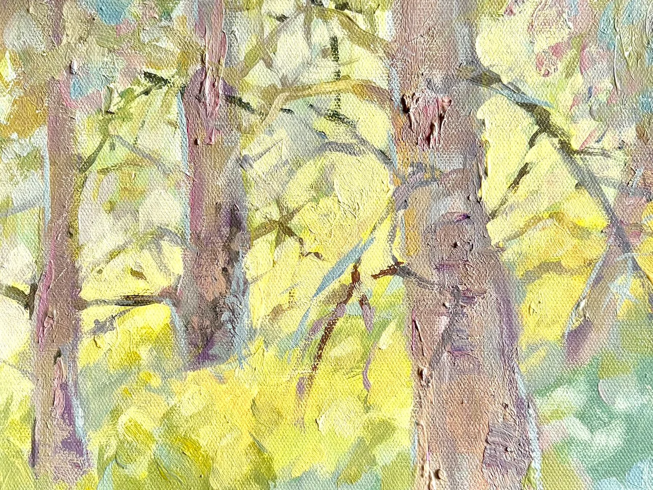 22.CitronShade.jpeg