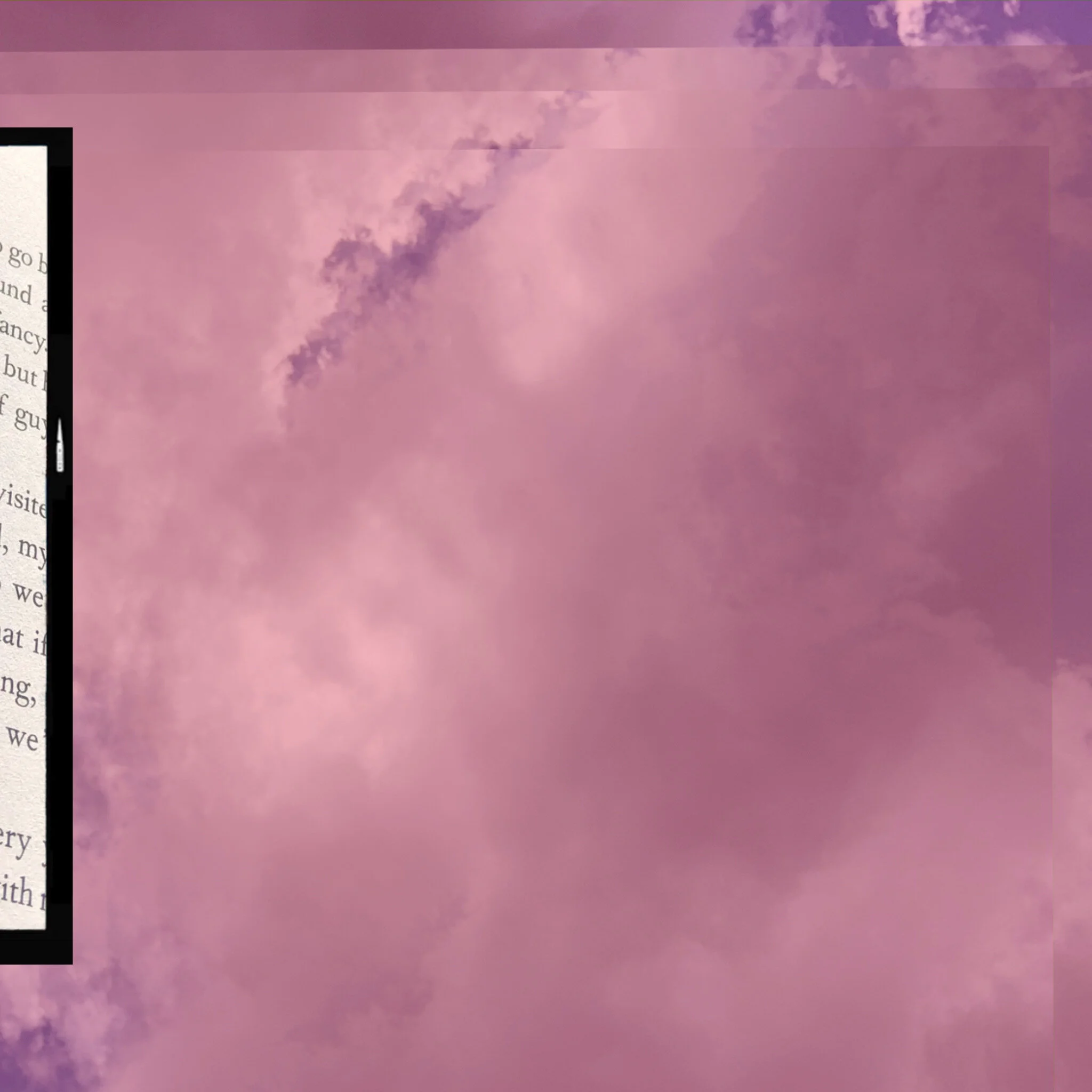 Silent Patient 3.JPG