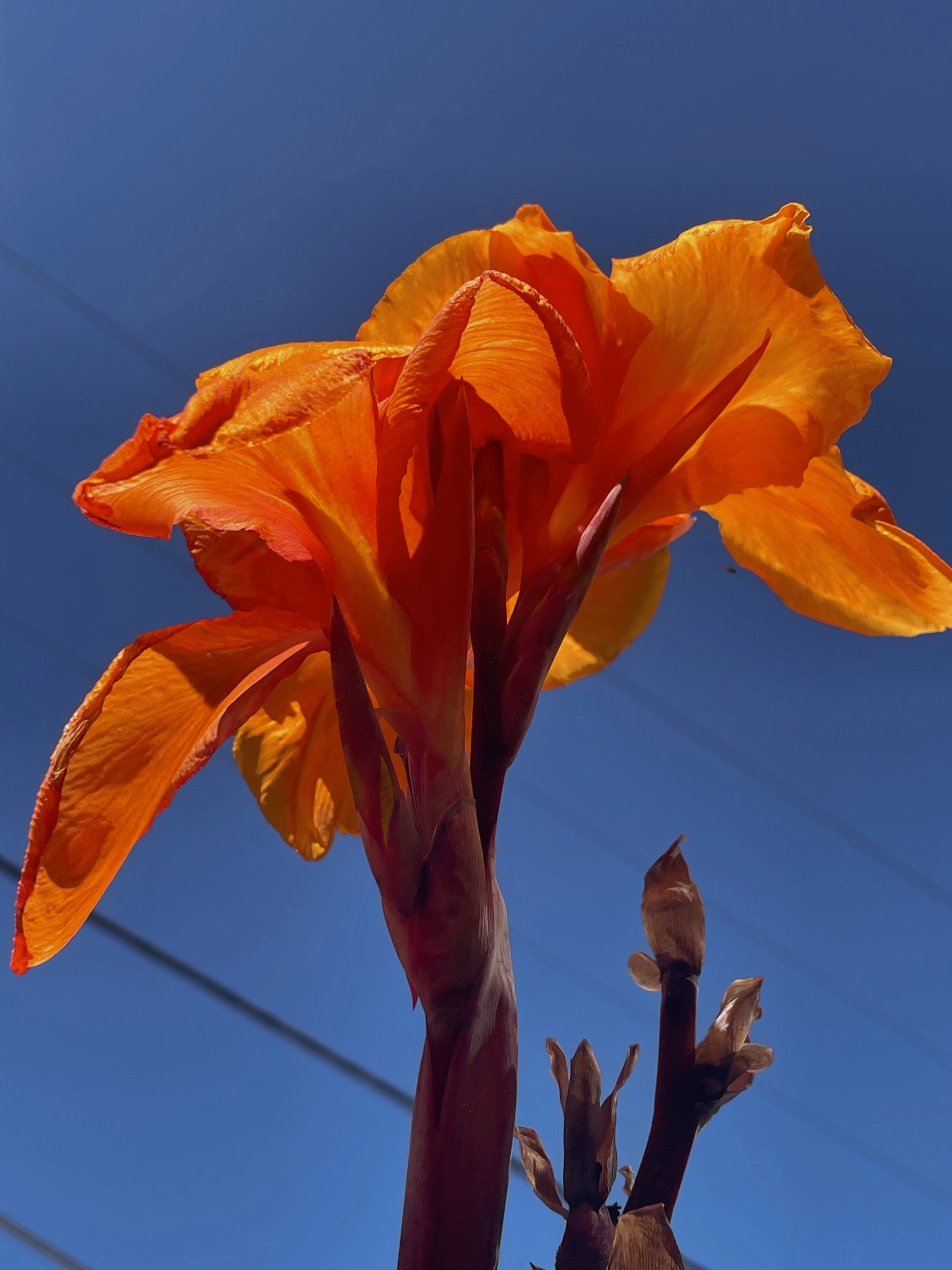 9153D3B7-9A79-4D71-A2DE-5C652626D6F8.jpeg
