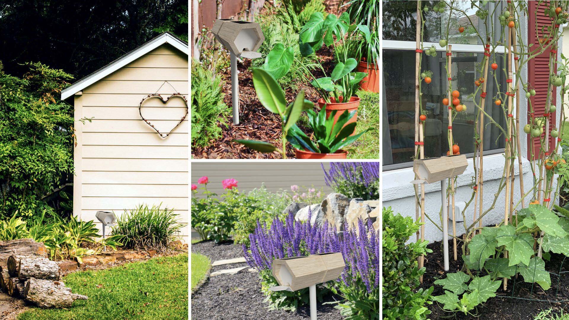 Environmental Contexts