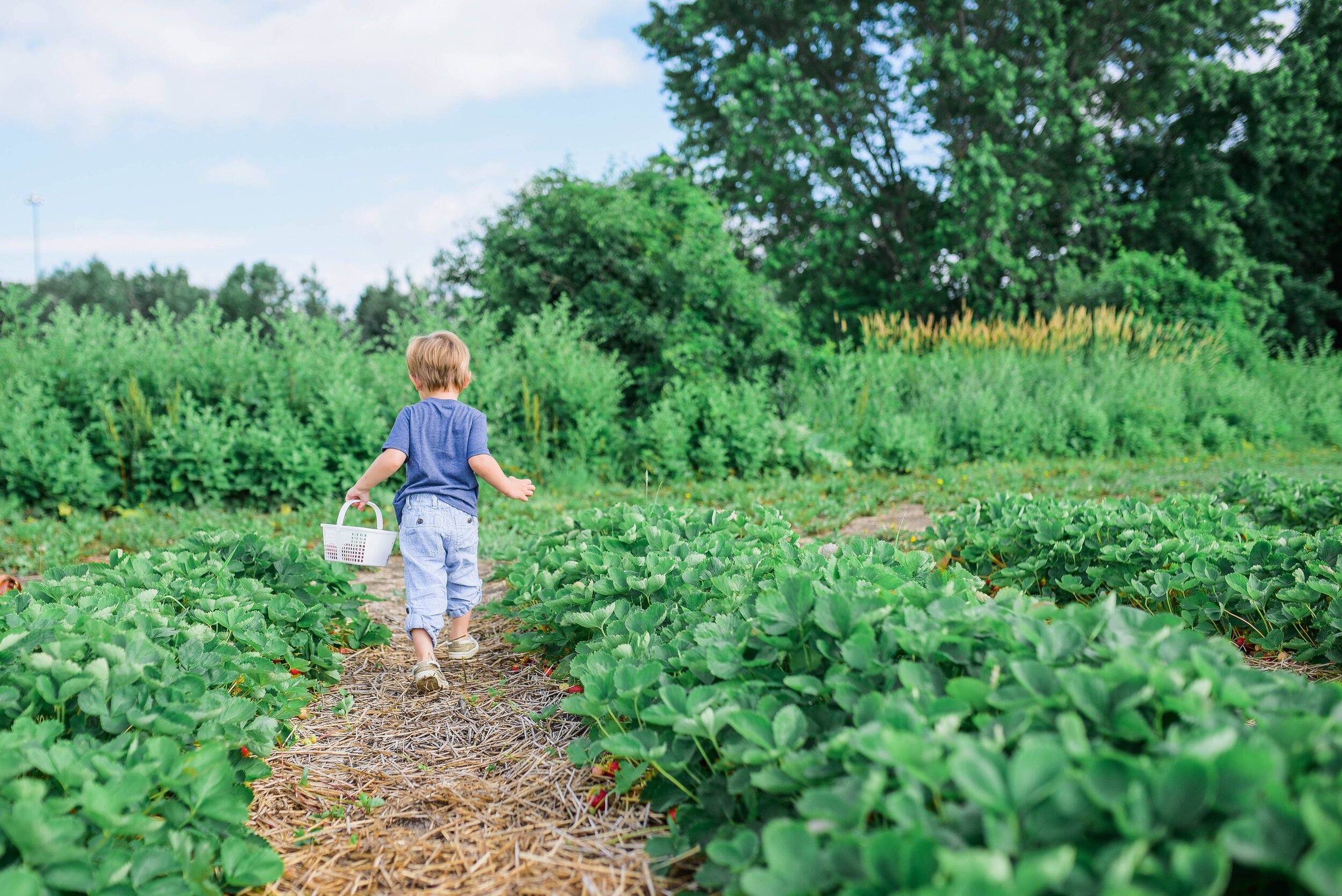Embracing an Equitable Earth