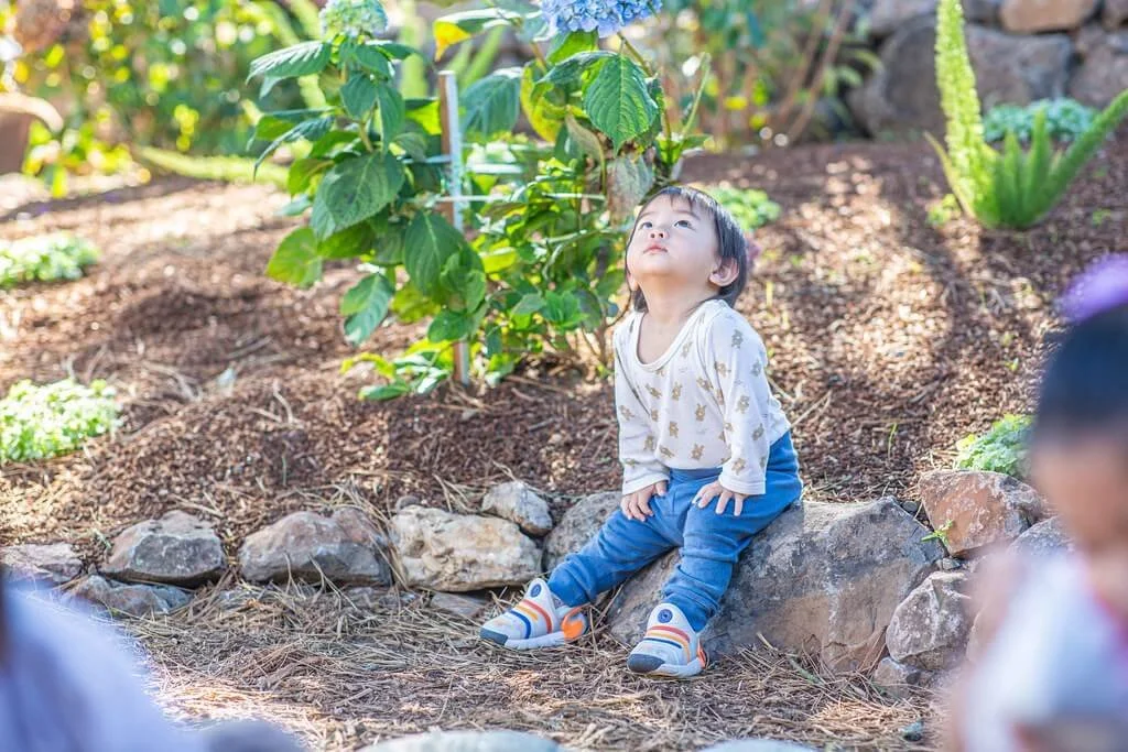 Starting with the Earliest Years: Advancing Nature in PN-3