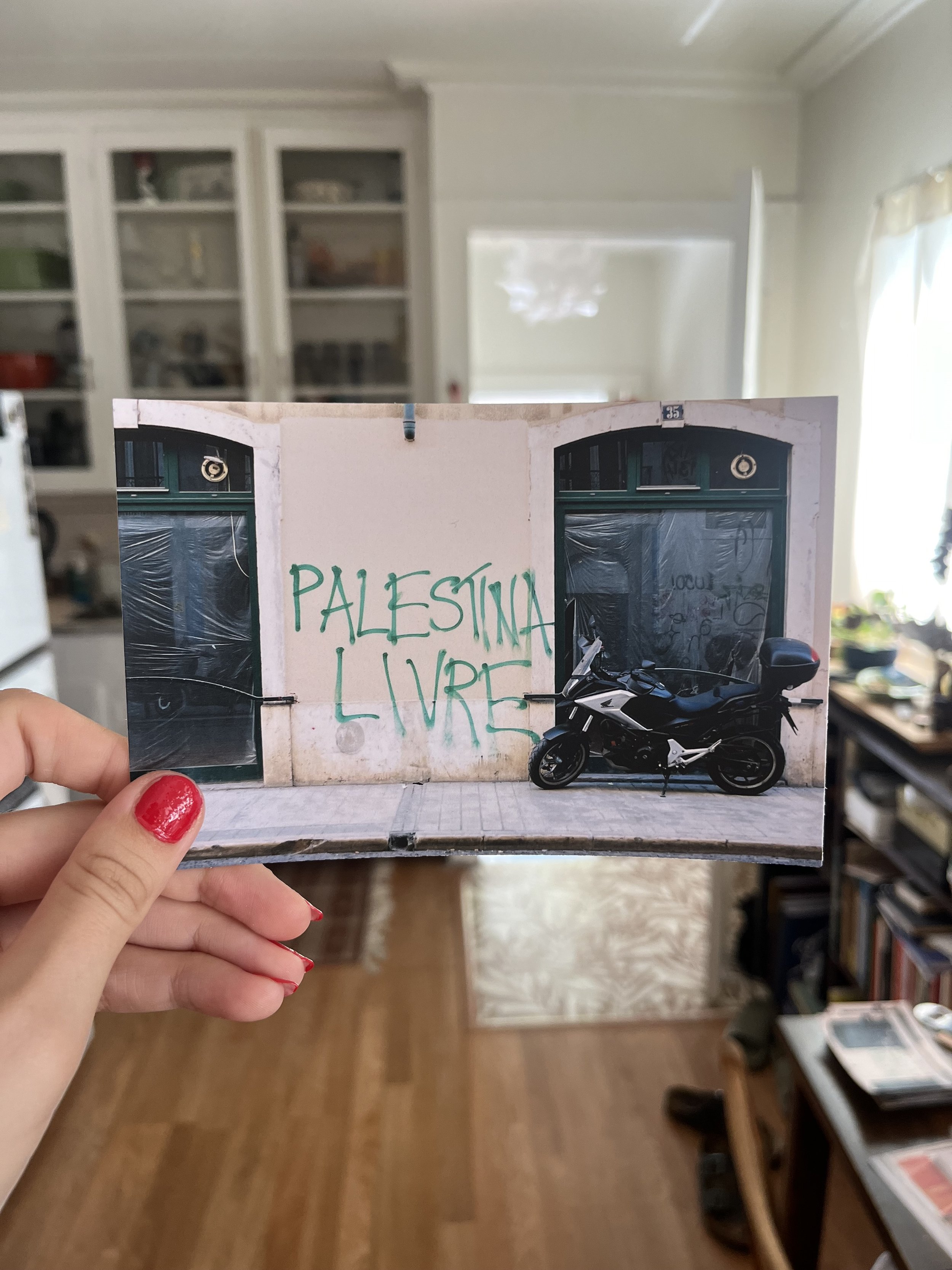 PC-FREE PALESTINE.jpeg