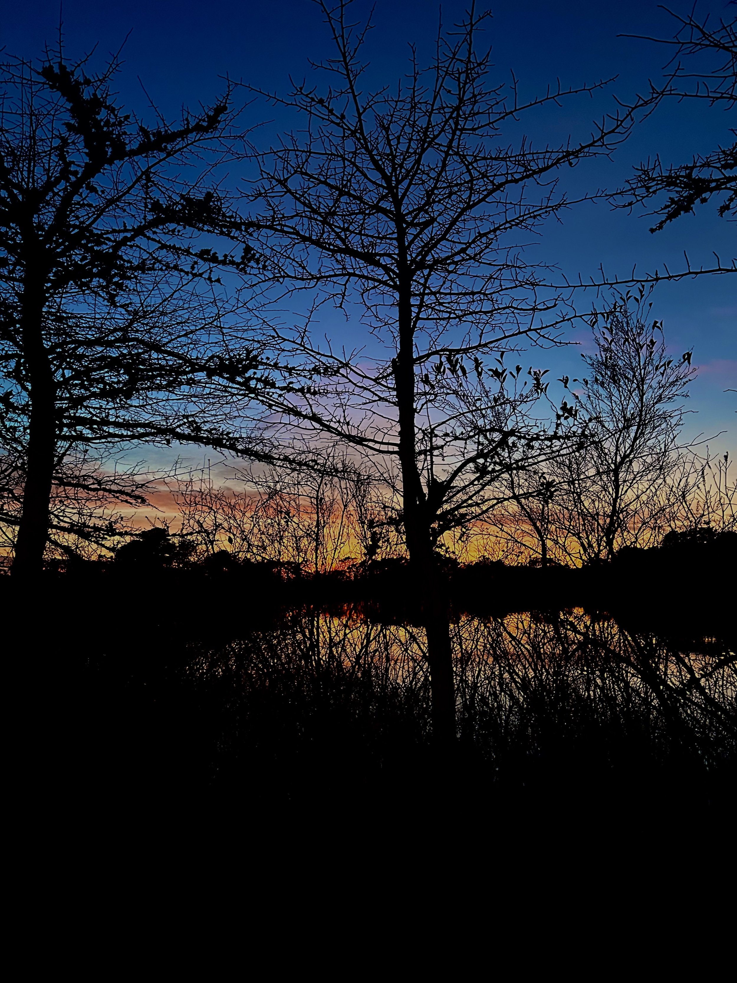 SUNSET KETTLE POND CAPE COD digital photograph