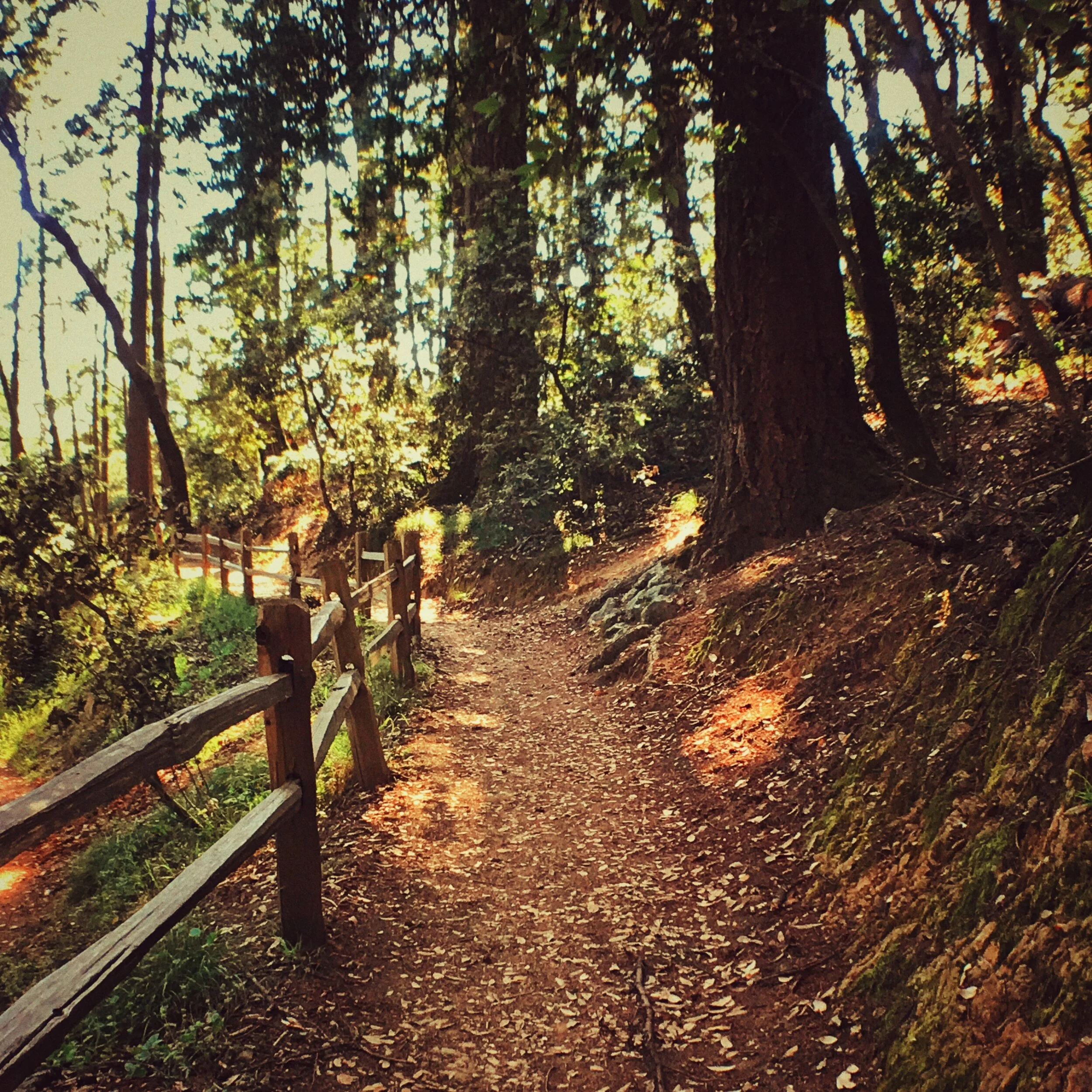 hikes from kenko retreat