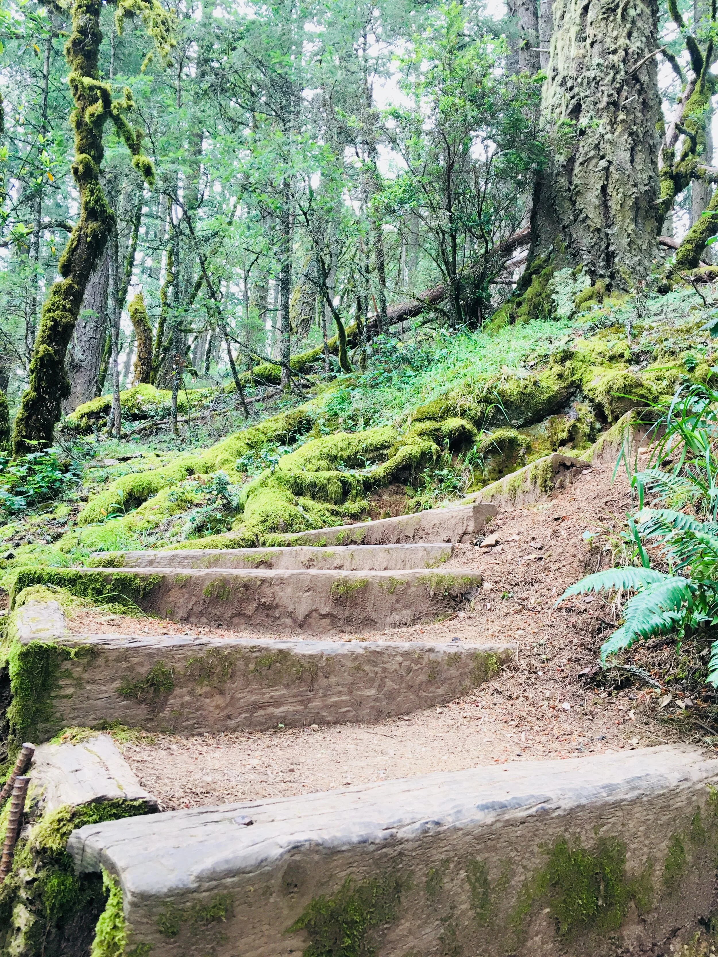 Steps from the door - miles of coastal hiking and beaches