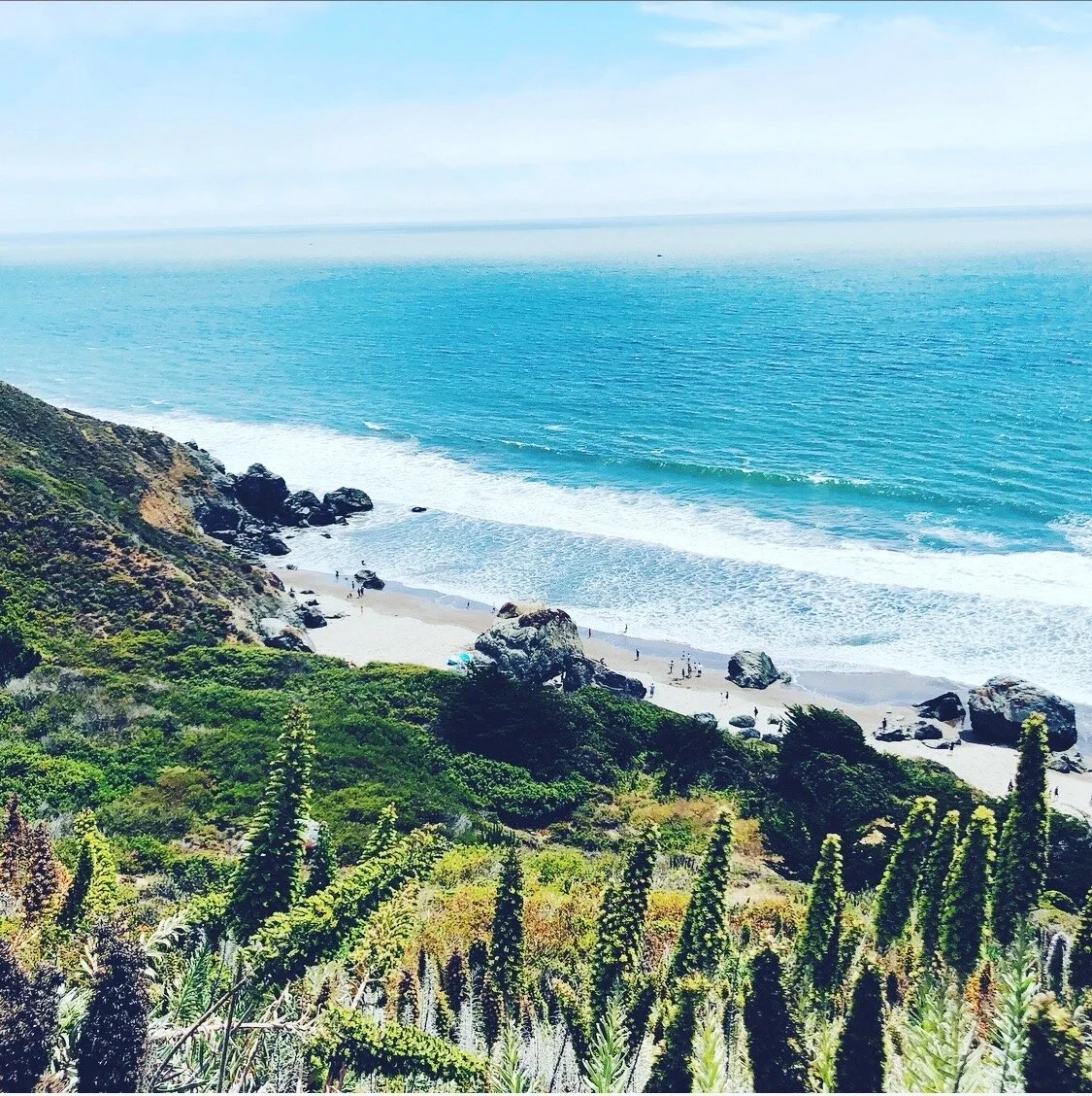 Trail from kenko retreat leads to stinson beach