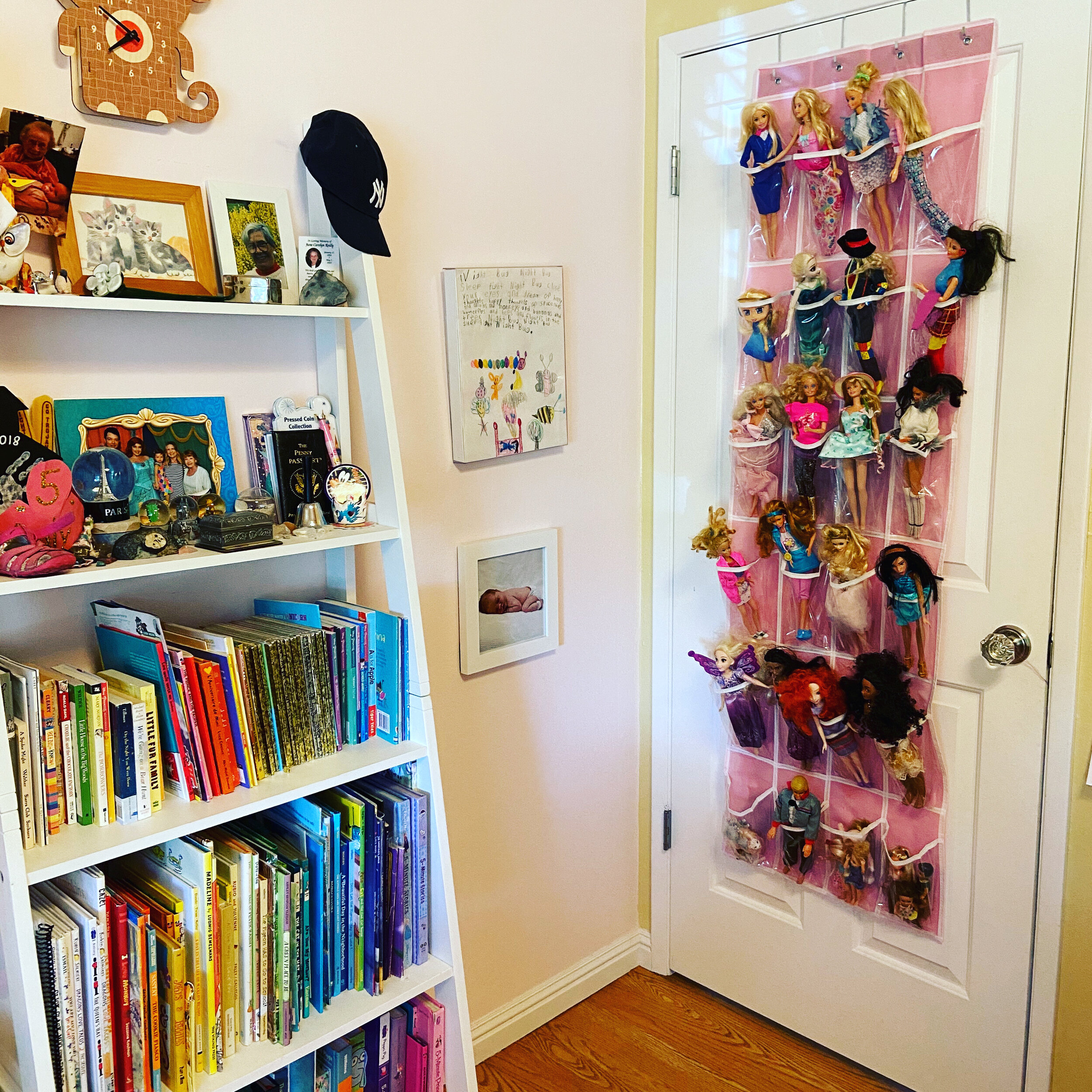 Barbie Storage Solution — Sorted Em Organizing
