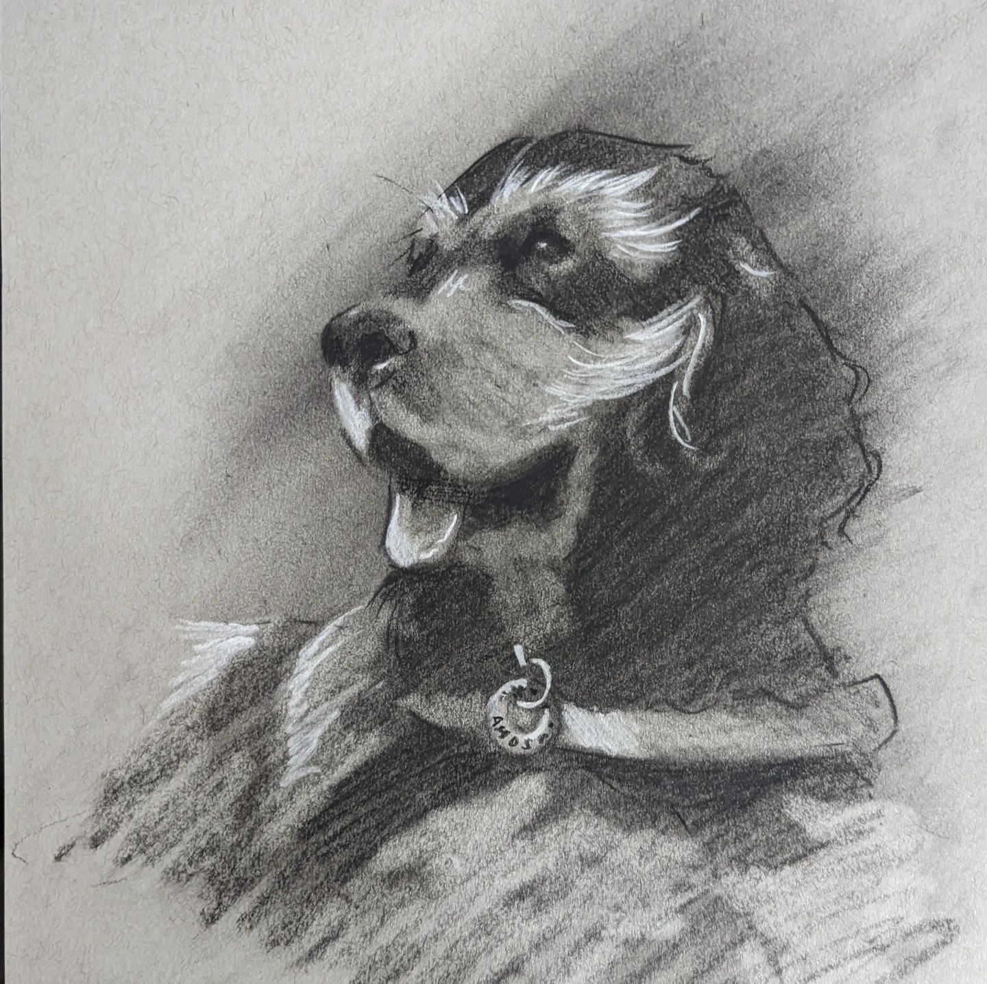 Amos, pastel pencil on toned paper, A4