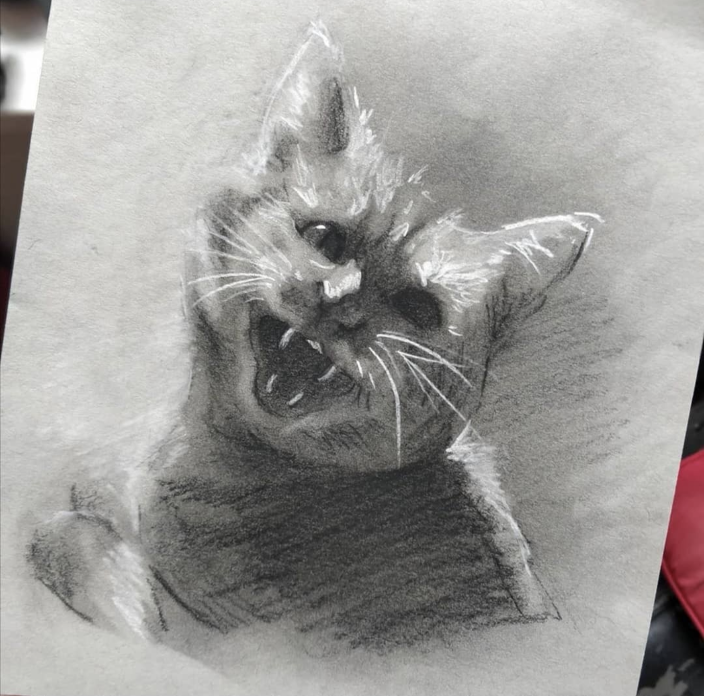 Floof, pastel pencil on toned paper, A5