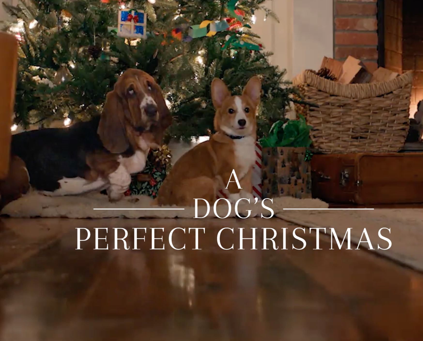 A Dog's Perfect Christmas | Trailer | Netflix