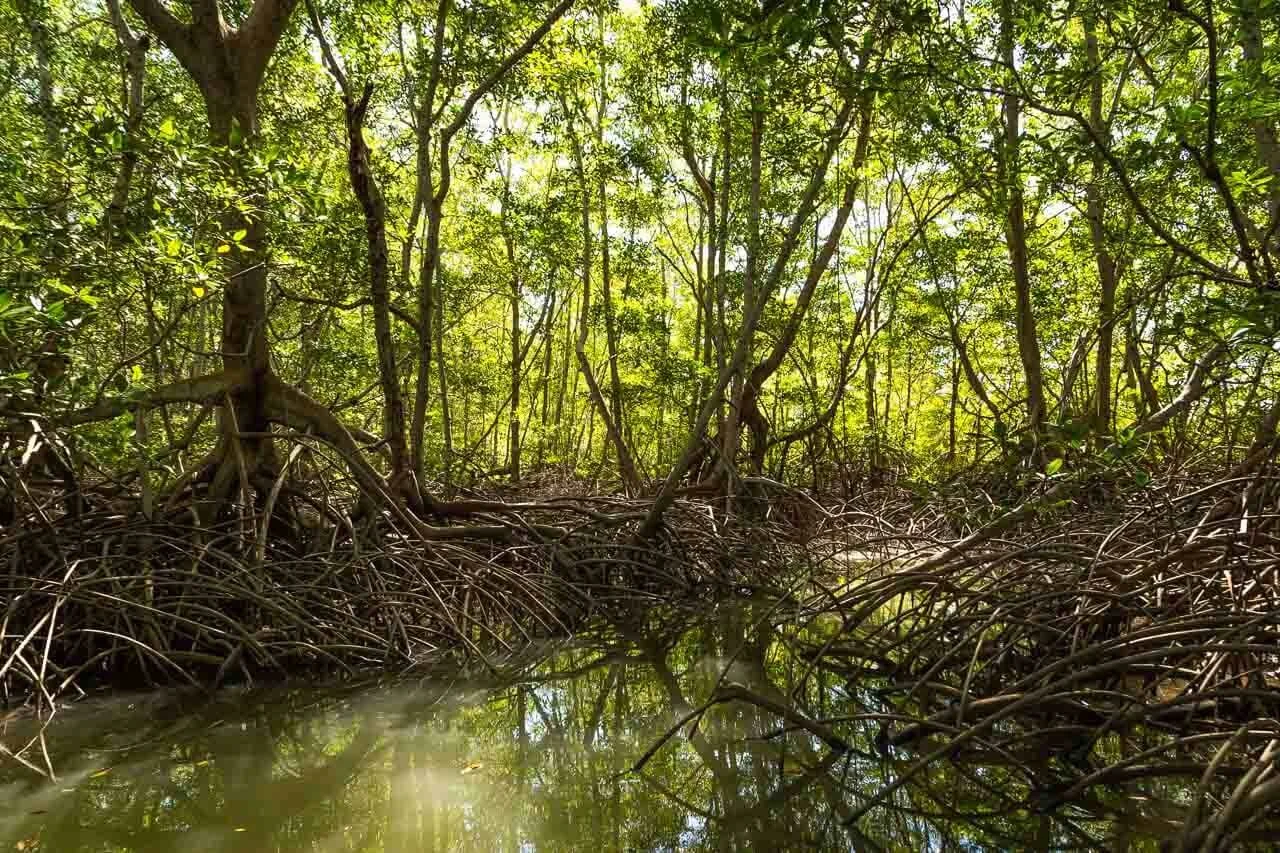 Sailing Cargo Through the Buzz