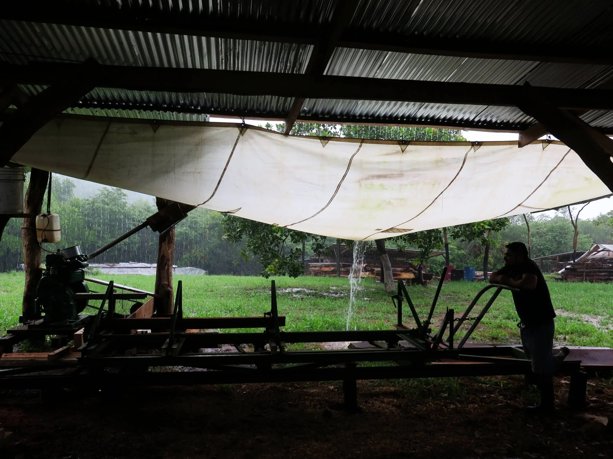 Paolo hanging on the sawmill under a sail of rain.