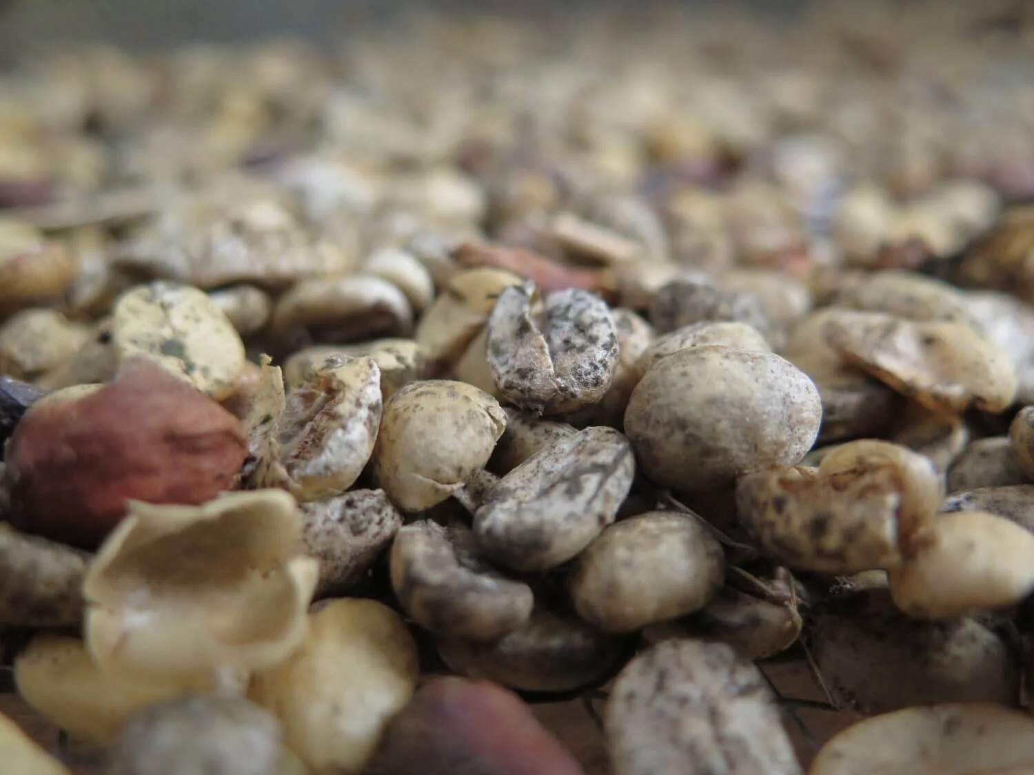 The Elements of Ship (Yard) Building