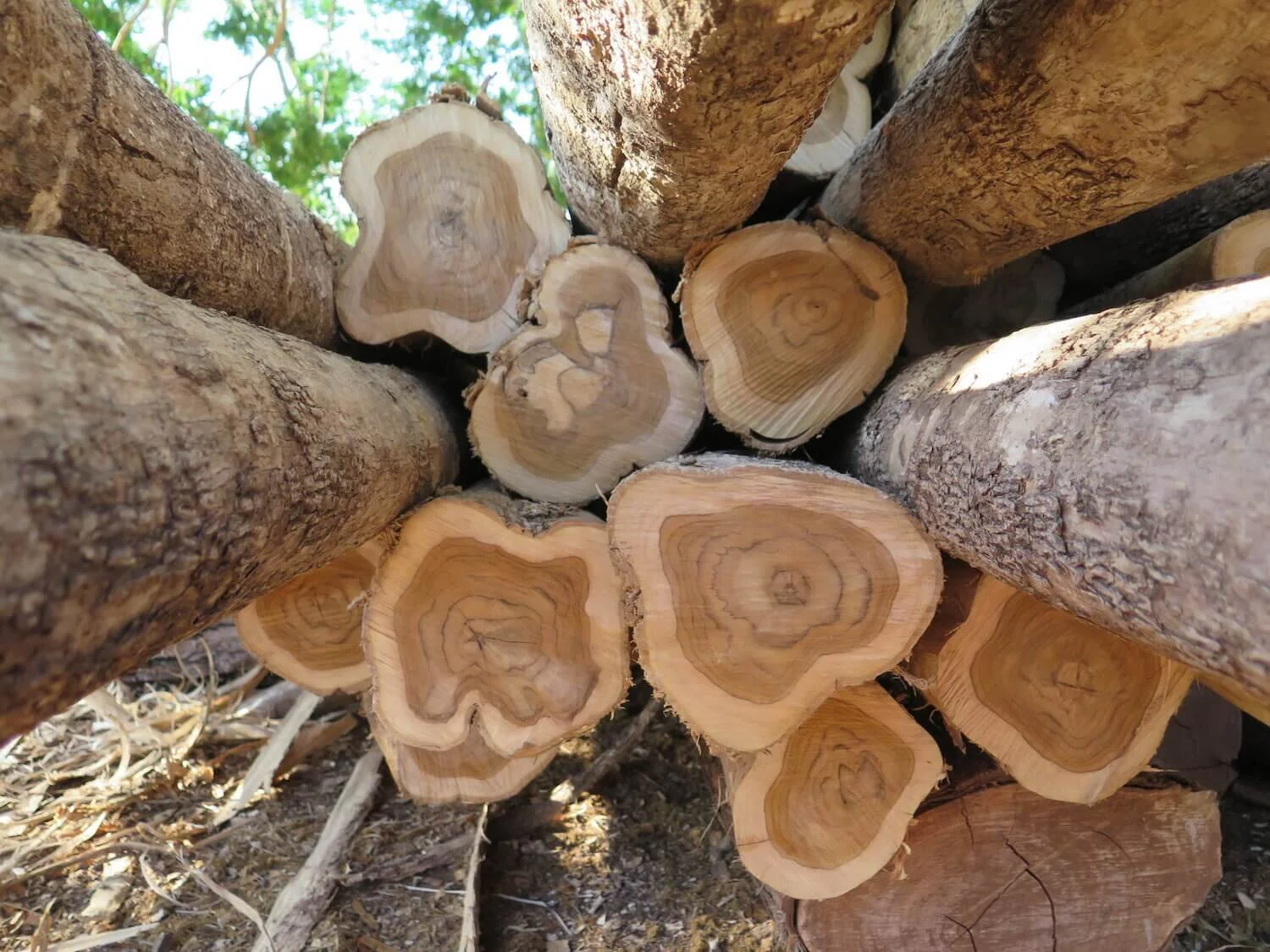 Renewable Resources for Shipyard Infrastructure