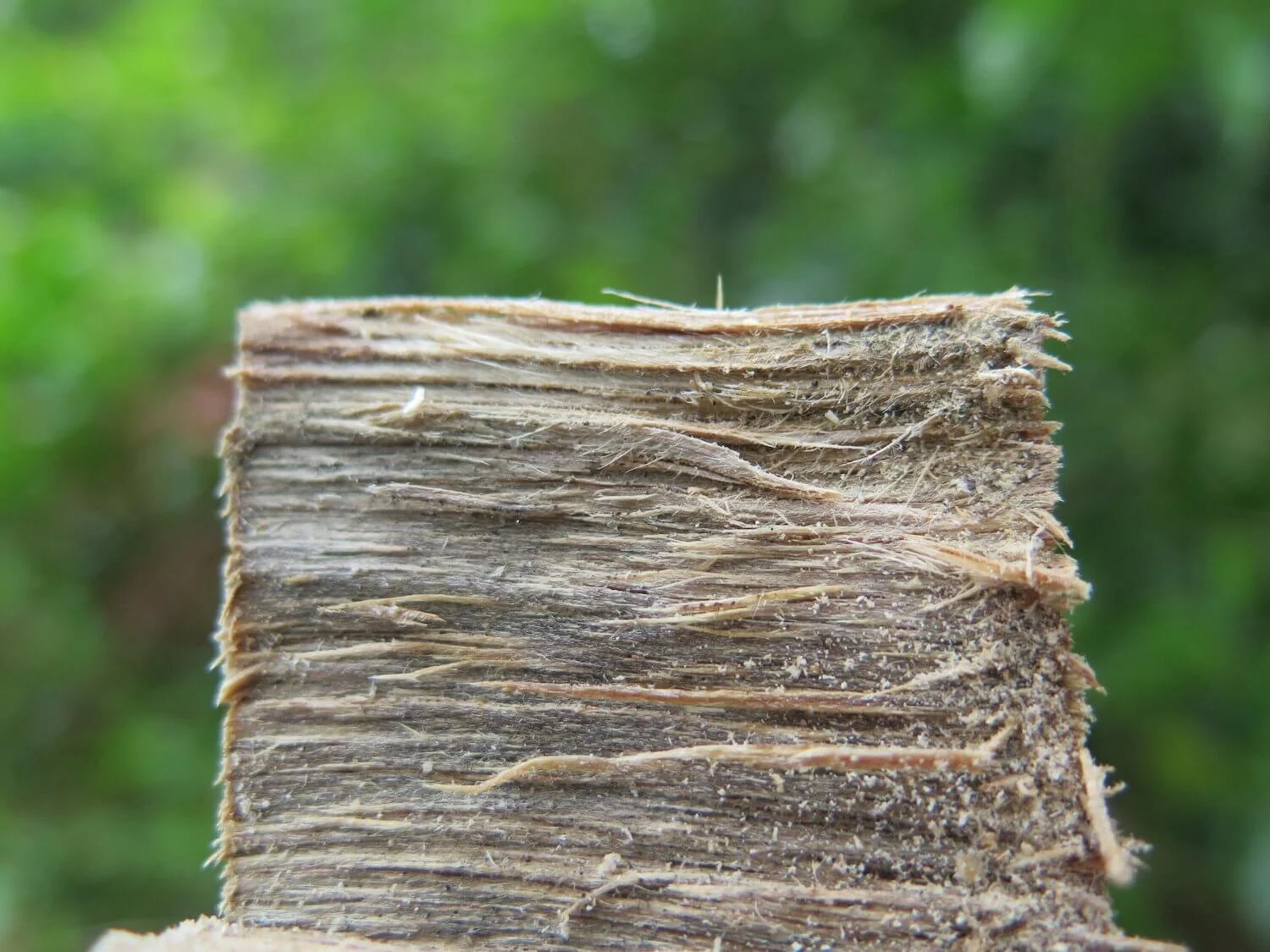 Un Proyecto Inteligente, con Proyección, Convicción, Sentido y Respeto.