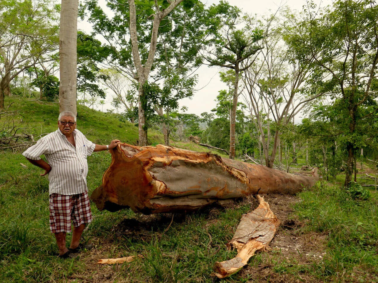 Our Keel: Hurricane Sourced, Shipyard Delivered