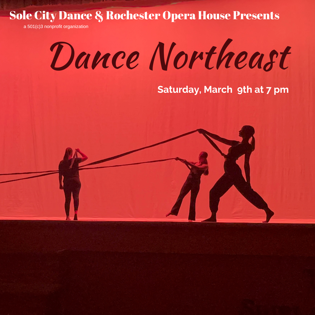 Shop — Sole City Dance