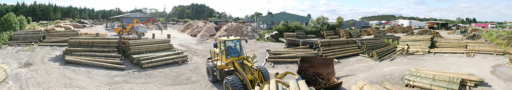 WorkSafe NZ review of WES</strong>&nbsp;