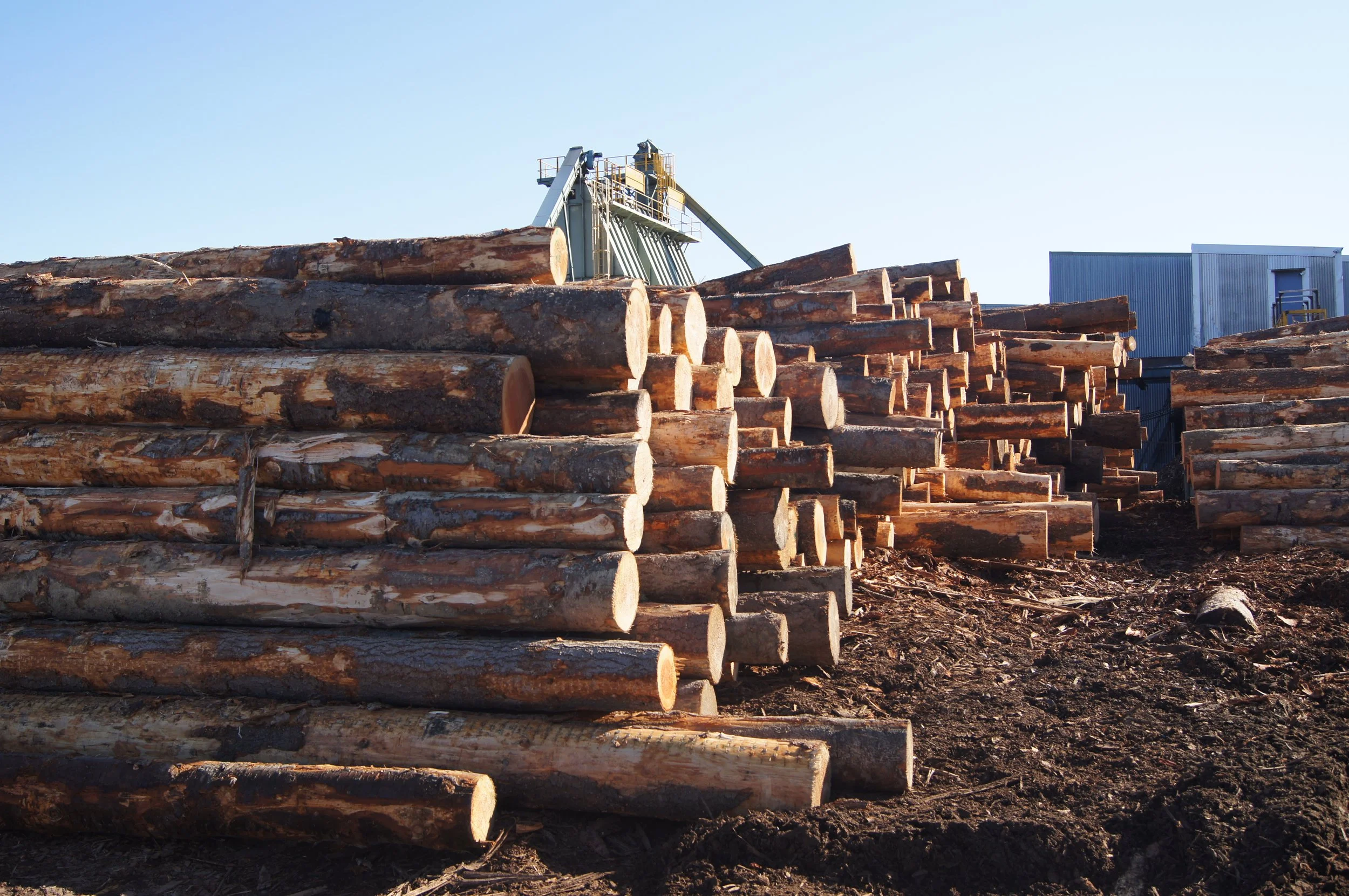 Risk Adjusted Log Pricing