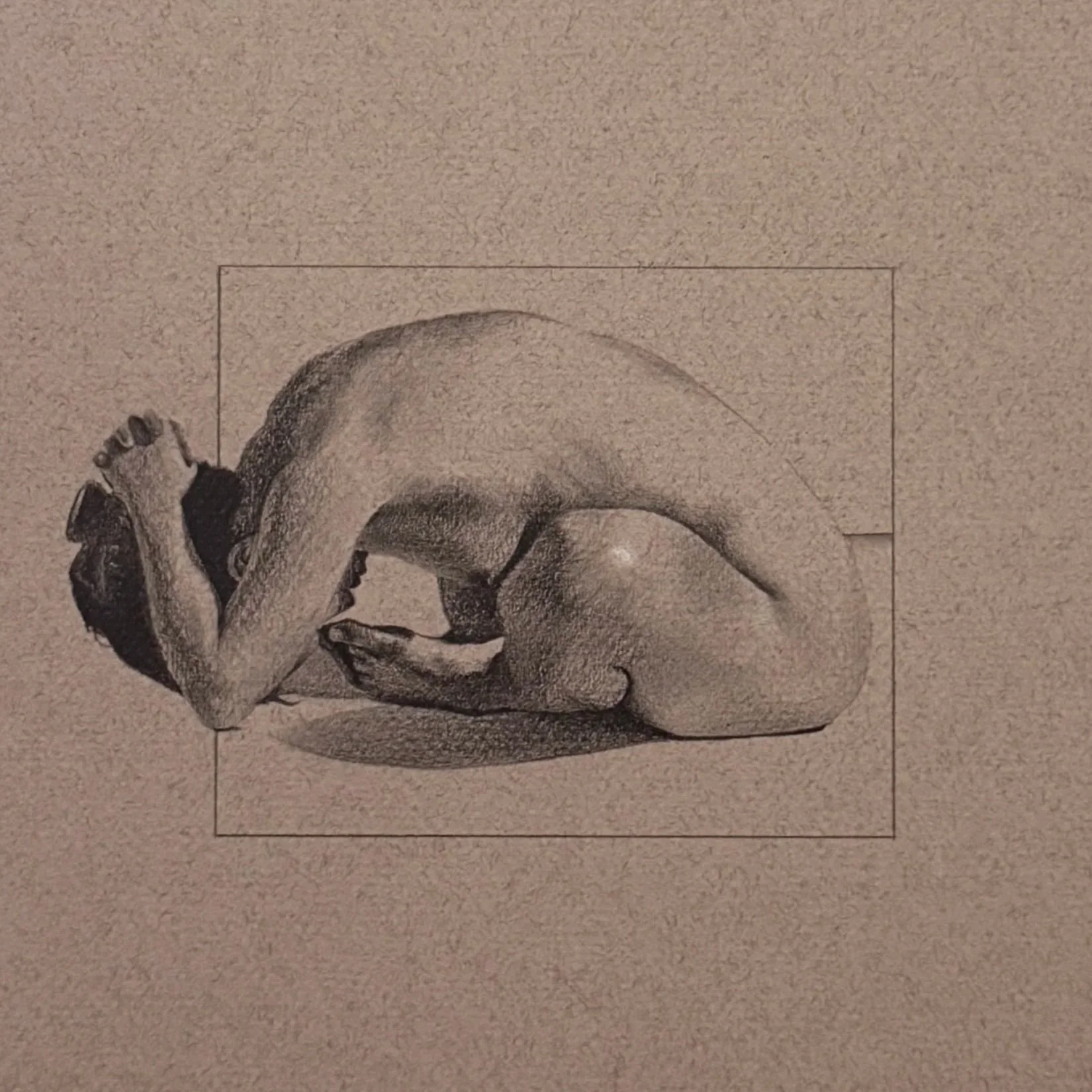   Bare Recluse   Graphite and White Chalk on Paper  10” x 12 ½ “  2025  Available Upon Inquiry 
