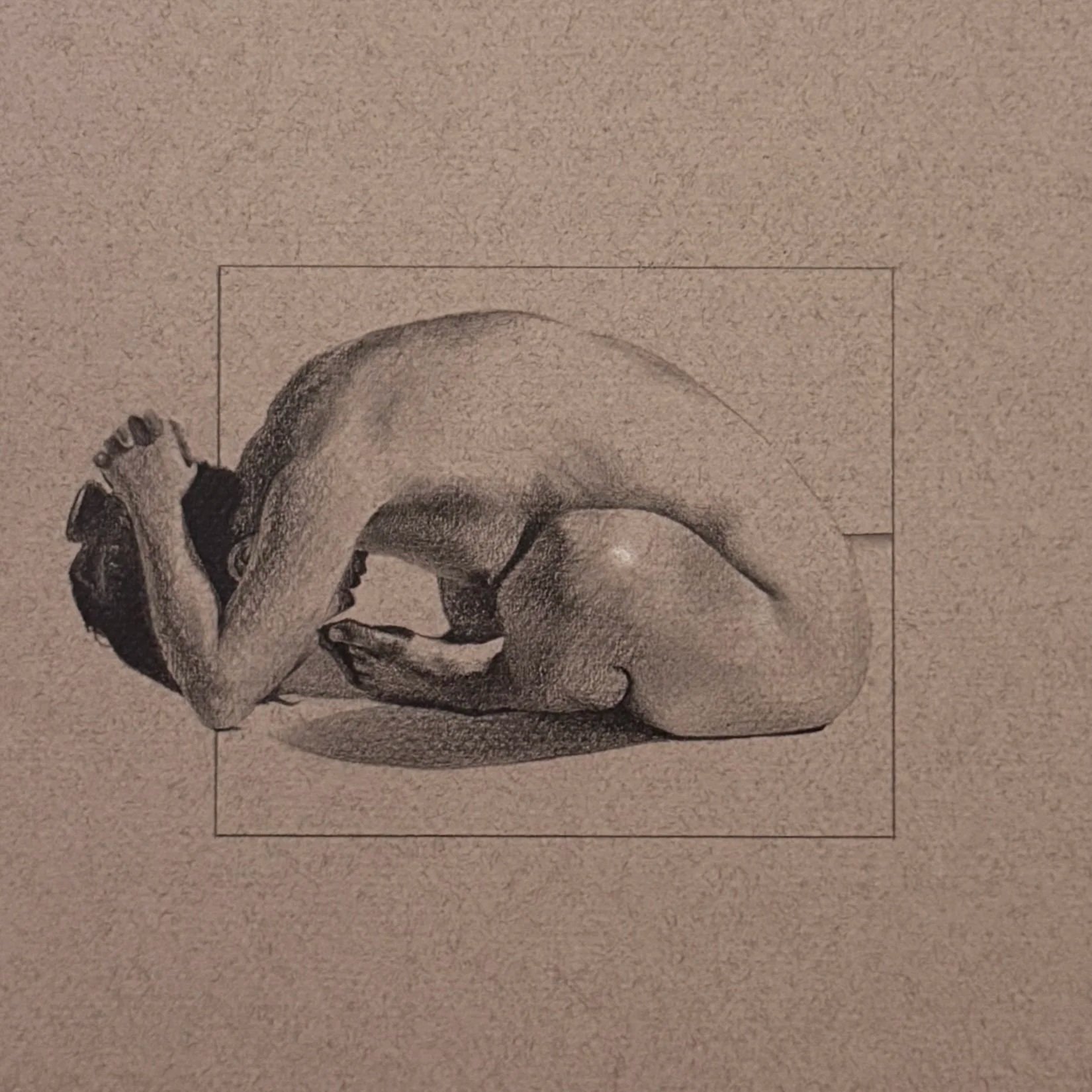   Bare Recluse   Graphite and White Chalk on Toned Paper  10” X 12 1/2”  2025  Available Upon Inquiry 