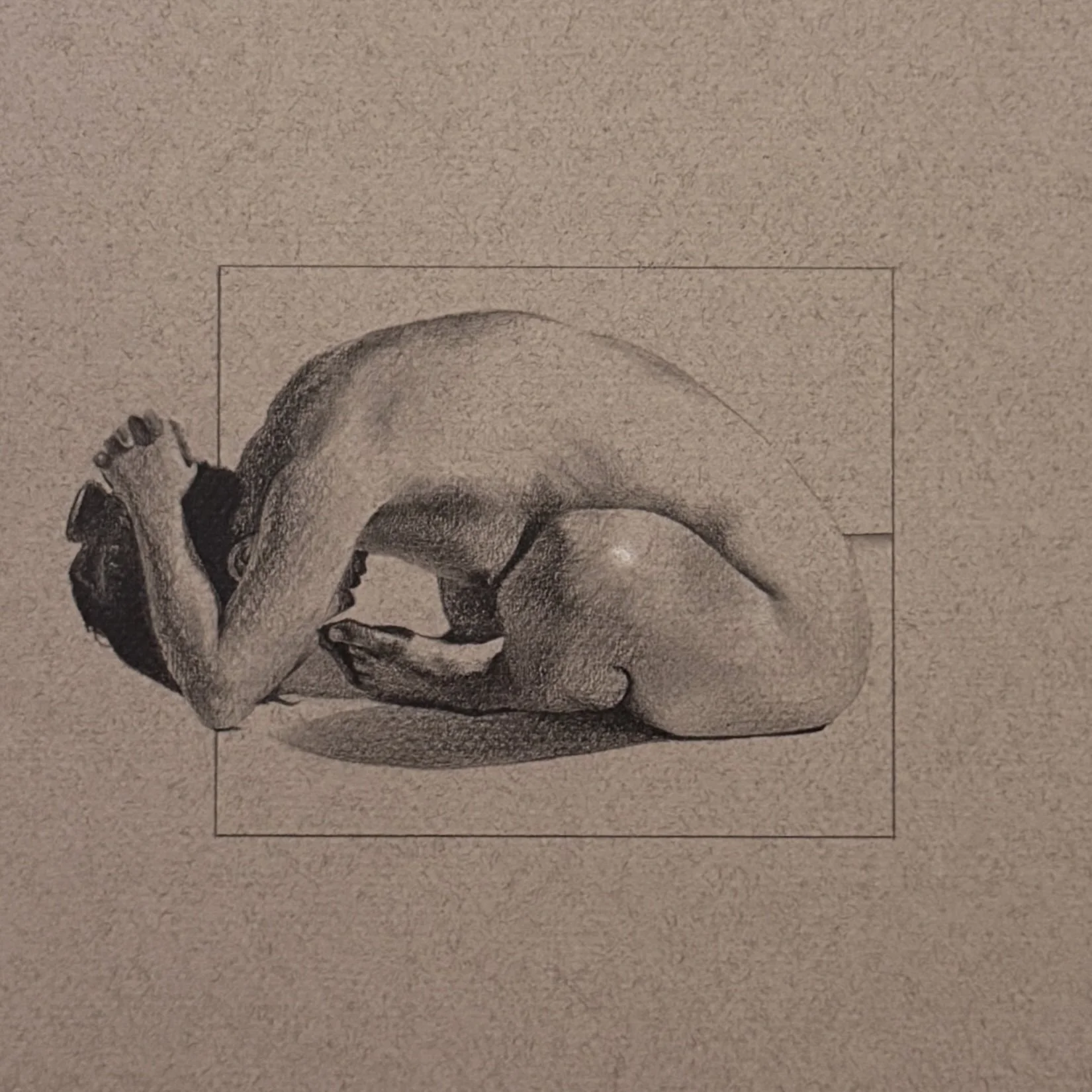 Bare Recluse
