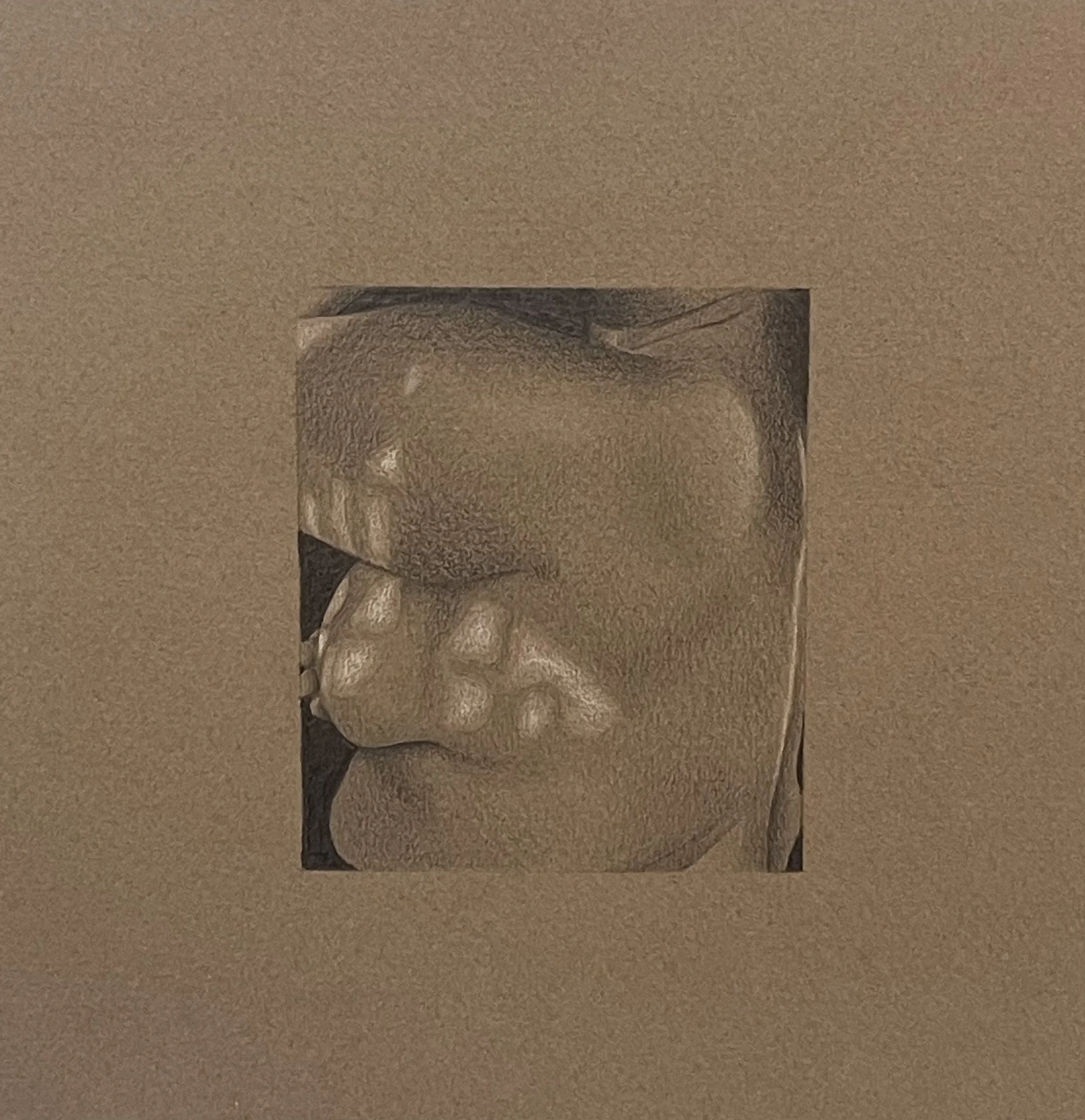 Marcucci-Wood_Julia_05.jpg