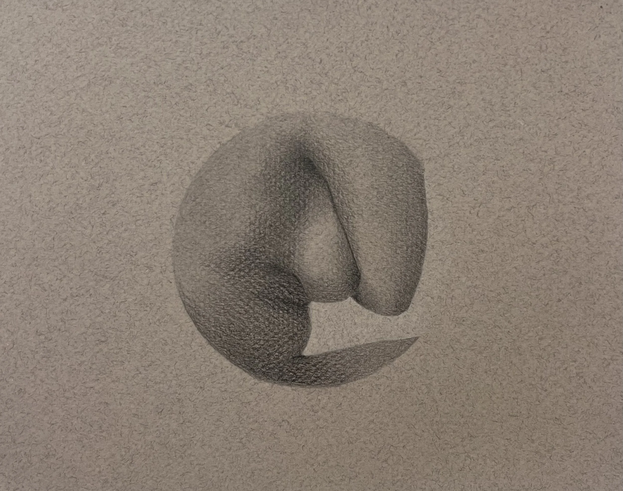 Marcucci-Wood_Julia_02.jpg