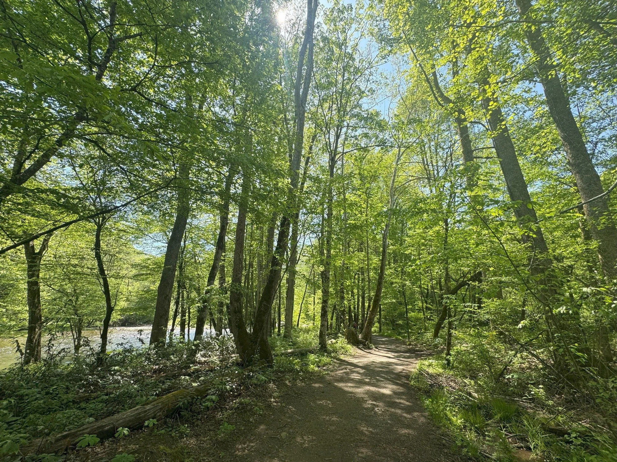 Smokies Opens Floodplain Review for Oconaluftee River Trail Project