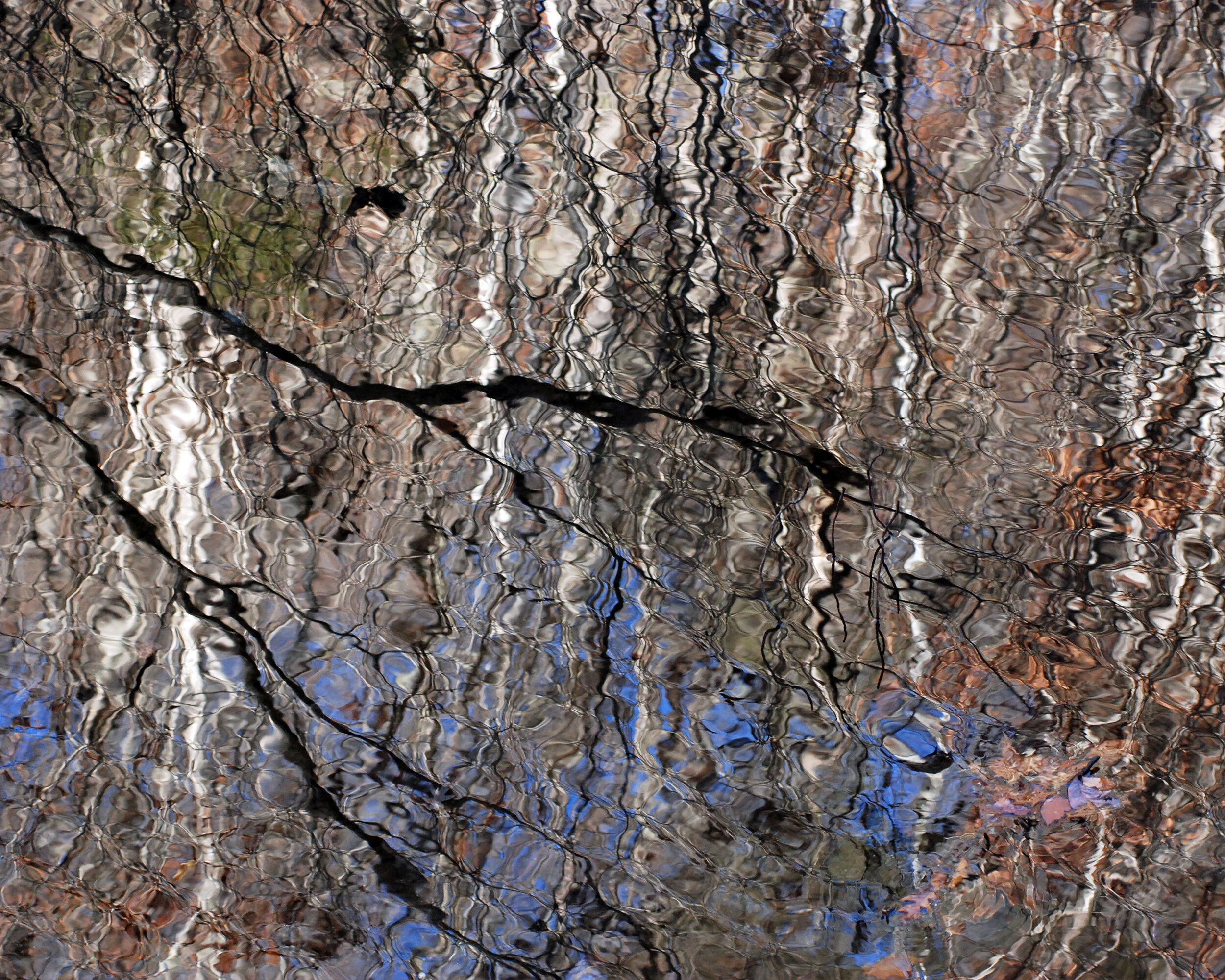 Winter Reflection, Great Smoky Mountains National Park