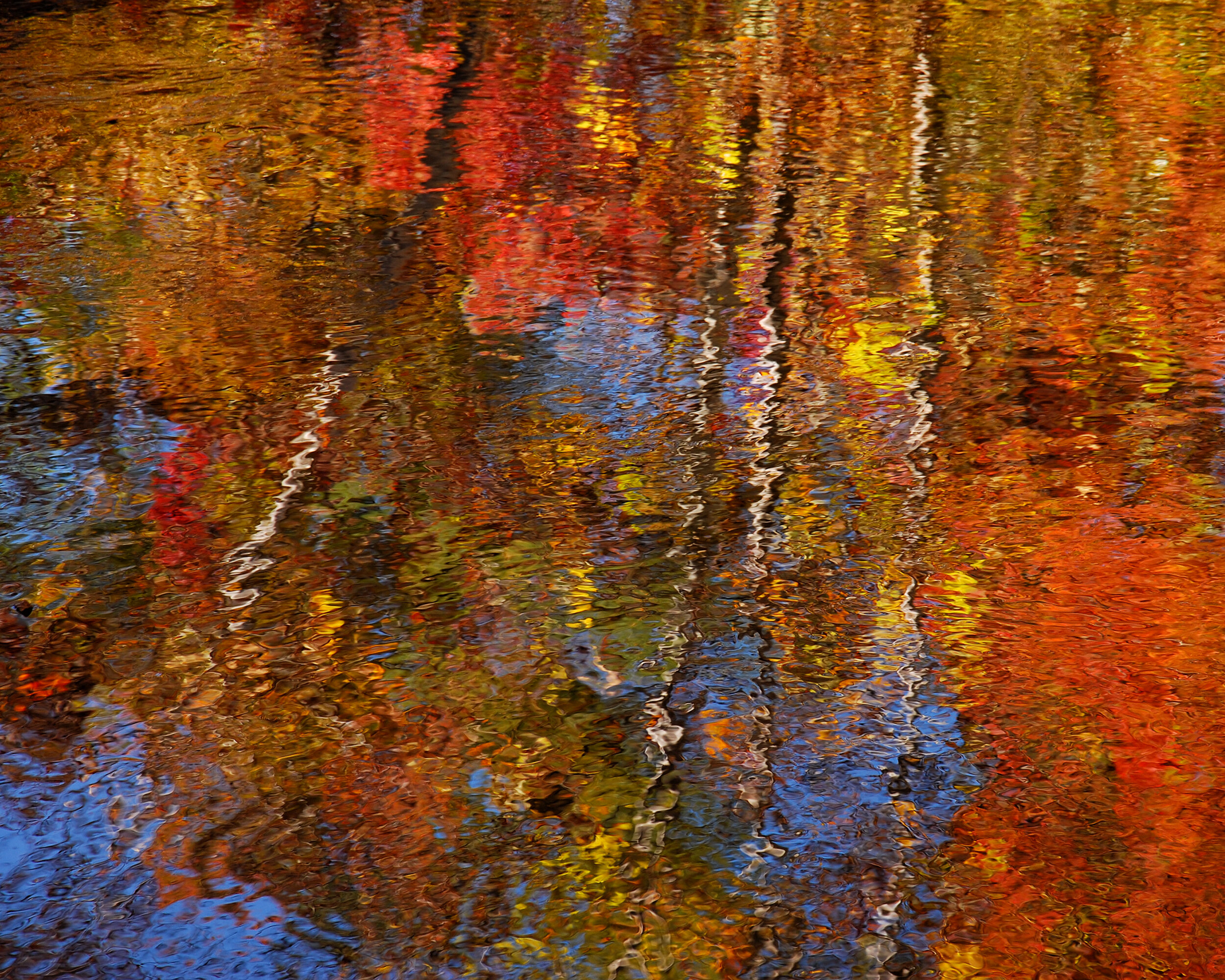 Fall Reflection.jpg