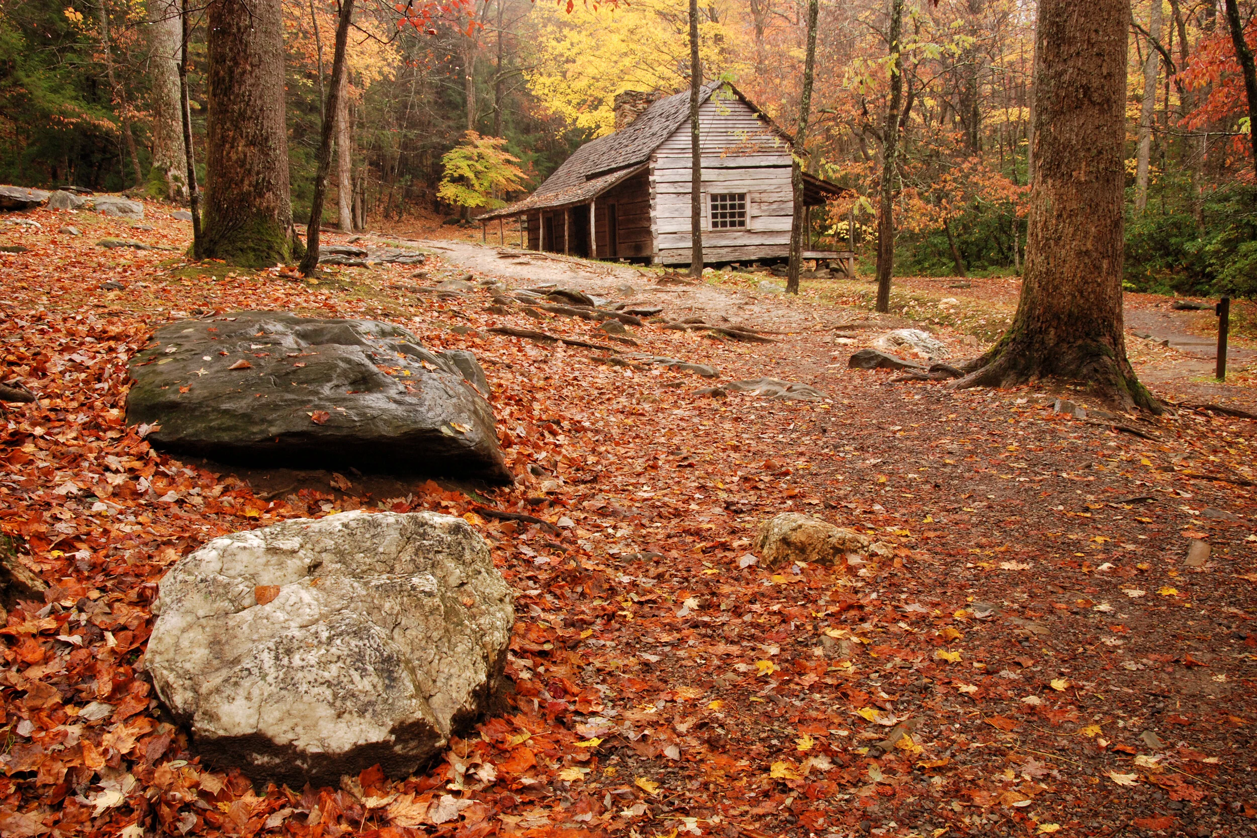 DSC_4512 Bud Ogle Cabin.jpg