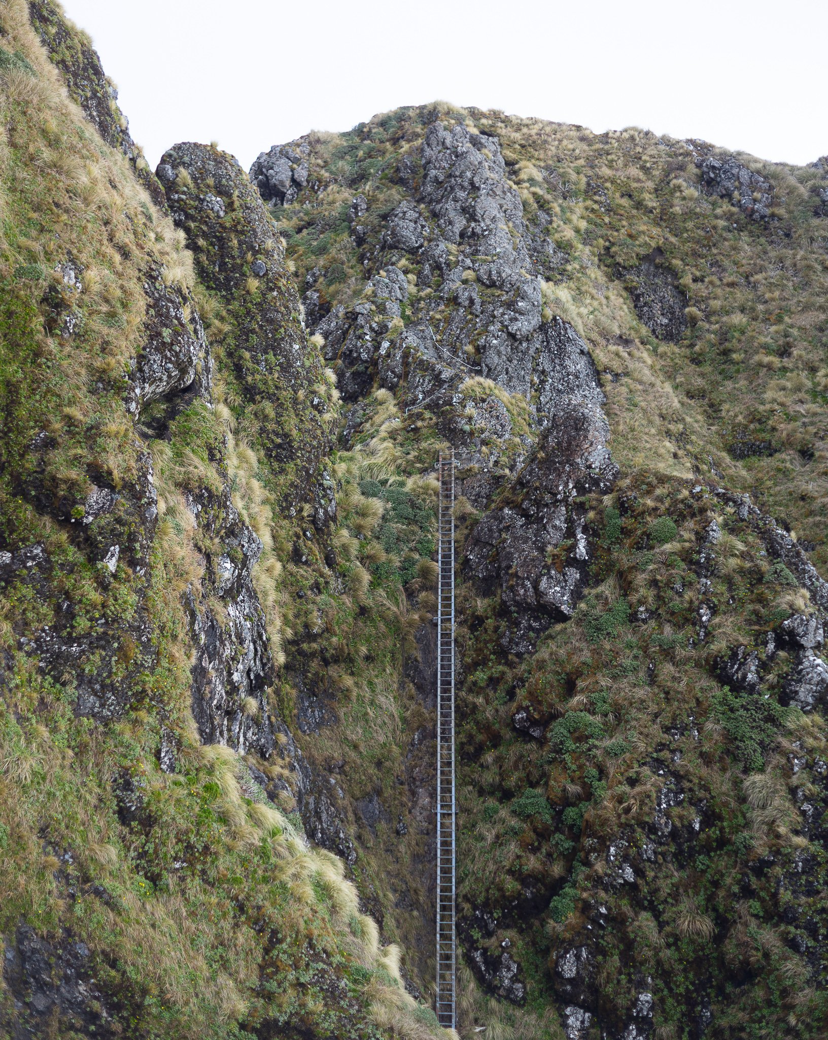 DSC00855-Pano.jpg